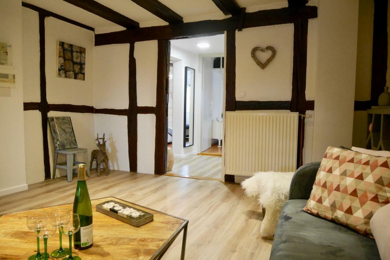 Gite Grand'Rue "Climatise" Colmar Esterno foto